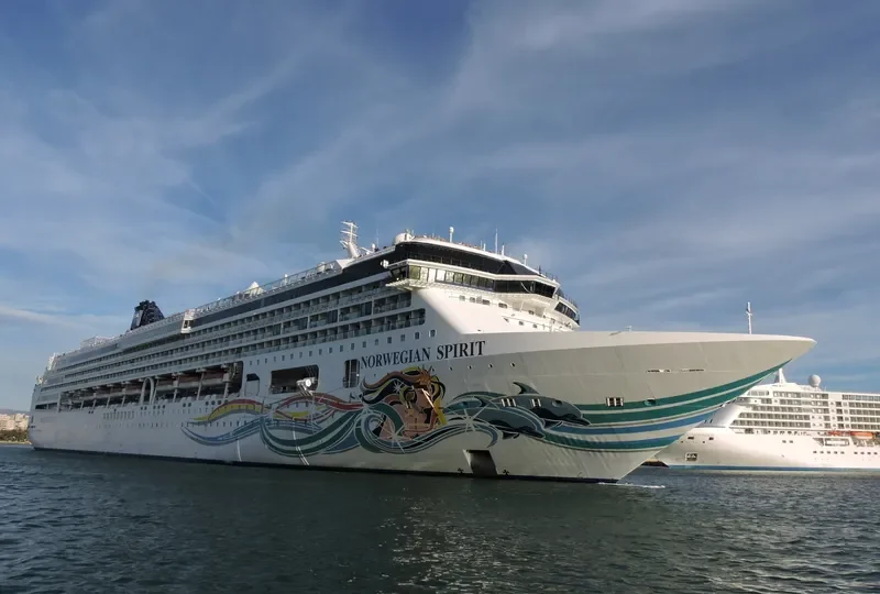 NORWEGIAN SPIRIT Passenger Ship IMO 9141065 photo 6