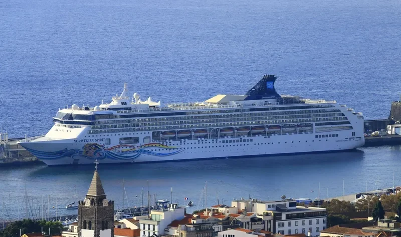 NORWEGIAN SPIRIT Passenger Ship IMO 9141065 photo 8