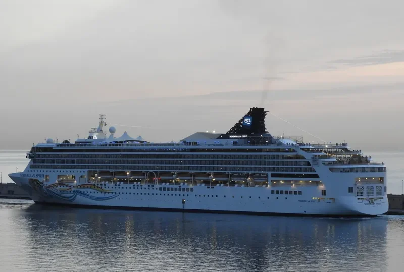 NORWEGIAN SPIRIT Passenger Ship IMO 9141065 photo 9