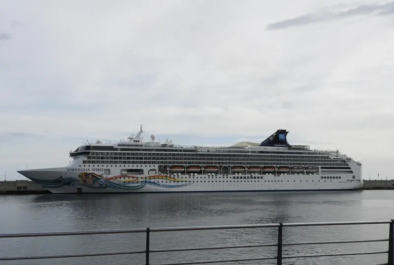 NORWEGIAN SPIRIT Passenger Ship IMO 9141065 photo 10