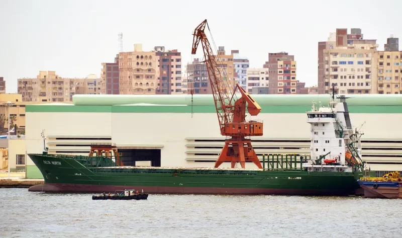 TARLAN Container Ship IMO 9141106 photo 3