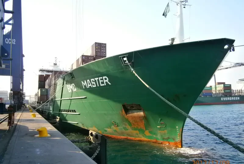 TARLAN Container Ship IMO 9141106 photo 9