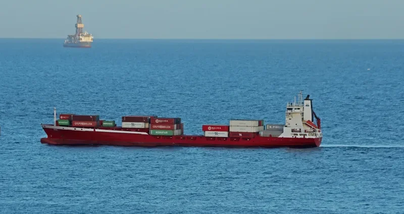 CHARO B Container Ship IMO 9141118 photo 2