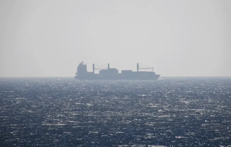 FRESENA Container Ship IMO 9141120 photo 3