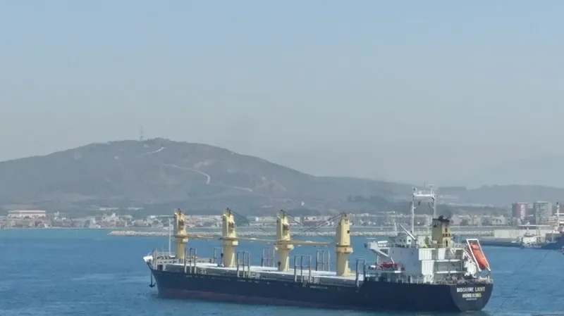 BISCAYNE LIGHT Bulk Carrier IMO 9141235 photo 2