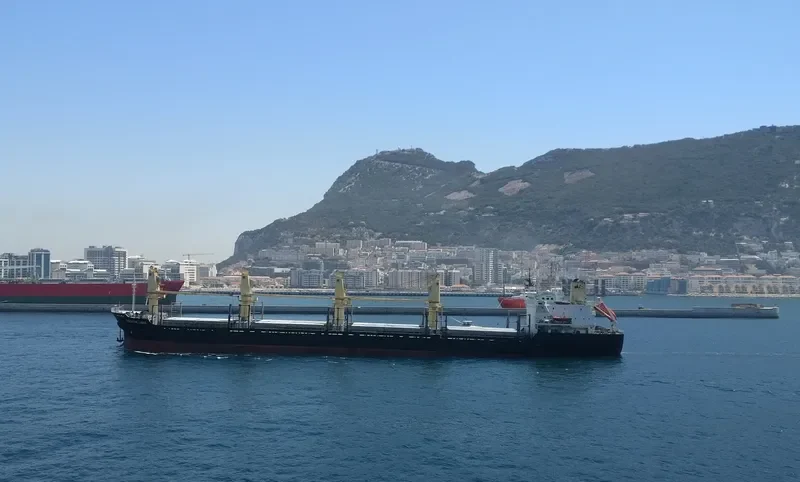 BISCAYNE LIGHT Bulk Carrier IMO 9141235 photo 3