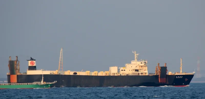 SEJU SHINKWANG Ro-Ro IMO 9141247 photo 3