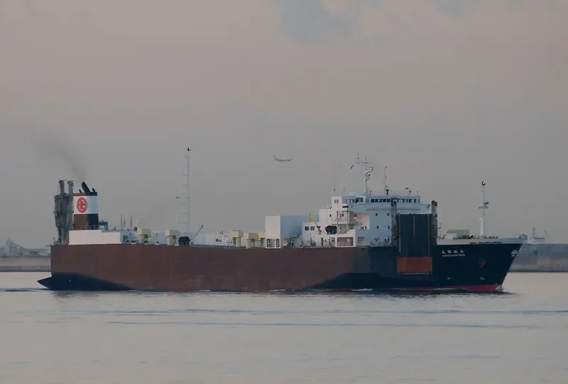 SEJU SHINKWANG Ro-Ro IMO 9141247 photo 6