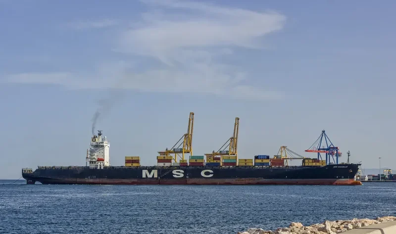 MSC ROCHELLE Container Ship IMO 9141297 photo 3