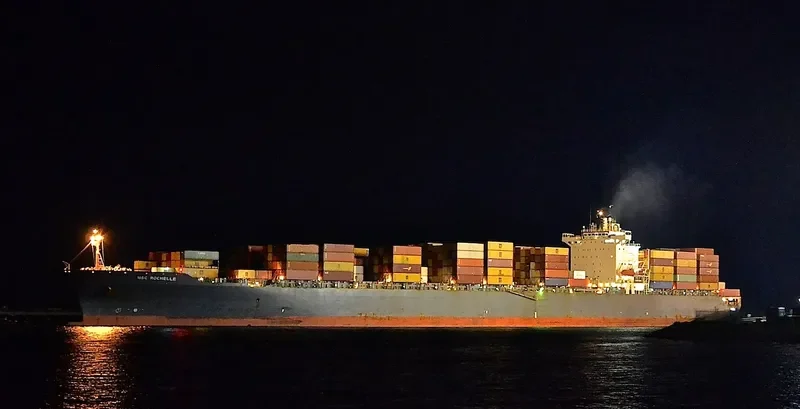 MSC ROCHELLE Container Ship IMO 9141297 photo 7