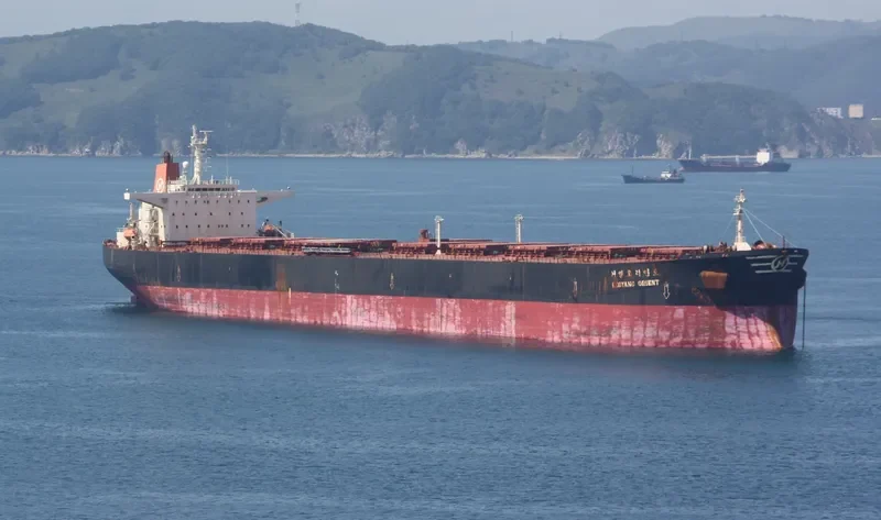KEOYANG ORIENT Bulk Carrier IMO 9141326 photo 3
