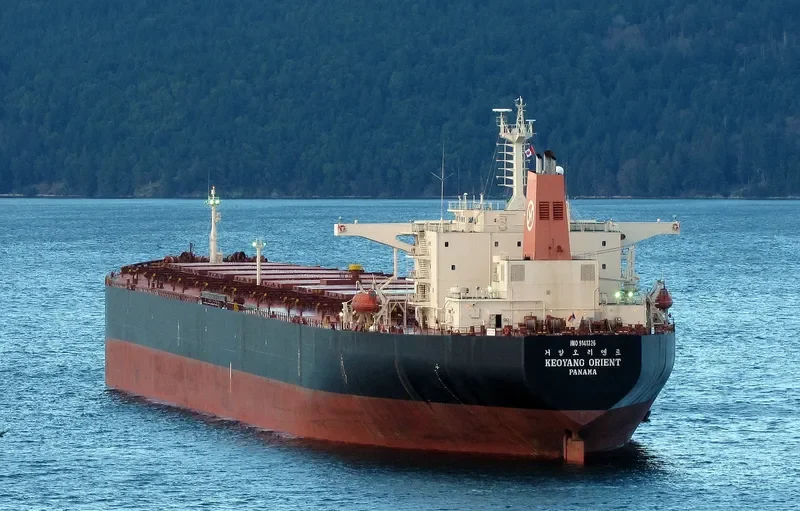 KEOYANG ORIENT Bulk Carrier IMO 9141326 photo 7