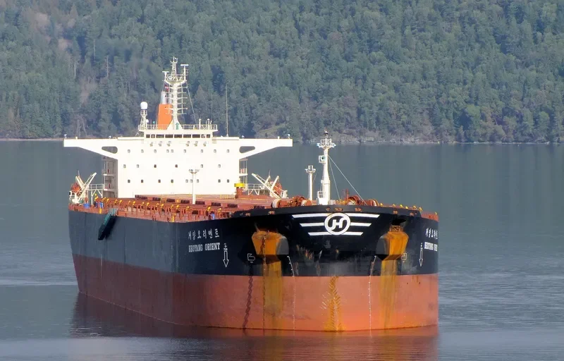 KEOYANG ORIENT Bulk Carrier IMO 9141326 photo 9
