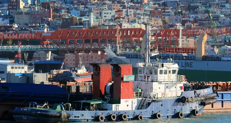 305CHOYANG General Cargo IMO 9141479 photo 2