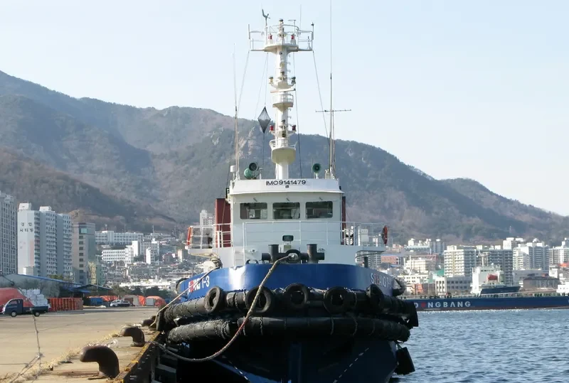 305CHOYANG General Cargo IMO 9141479 photo 6