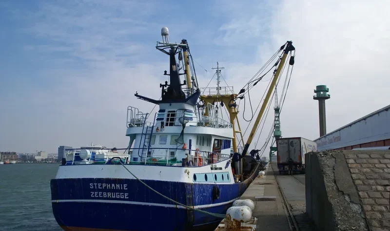 STEPHANIE General Cargo IMO 9141534 photo 7