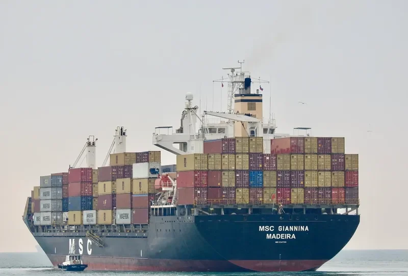 MSC GIANNINA Container Ship IMO 9141780 photo 2