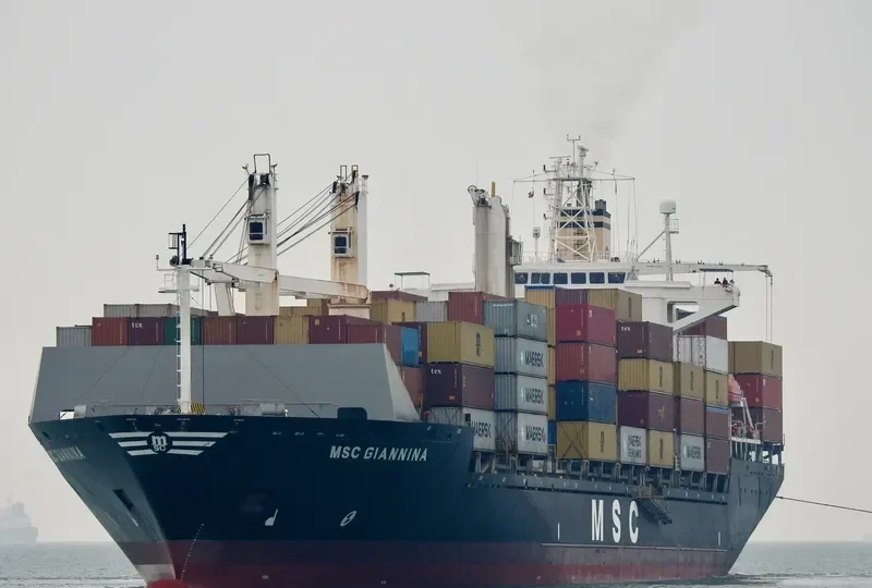 MSC GIANNINA Container Ship IMO 9141780 photo 3
