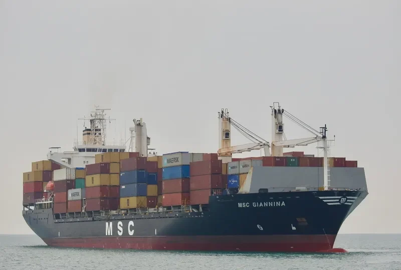 MSC GIANNINA Container Ship IMO 9141780 photo 4
