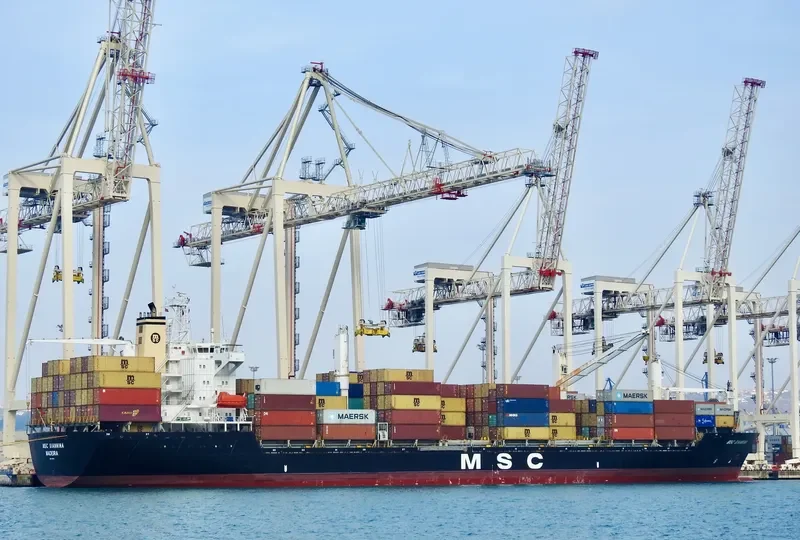MSC GIANNINA Container Ship IMO 9141780 photo 5