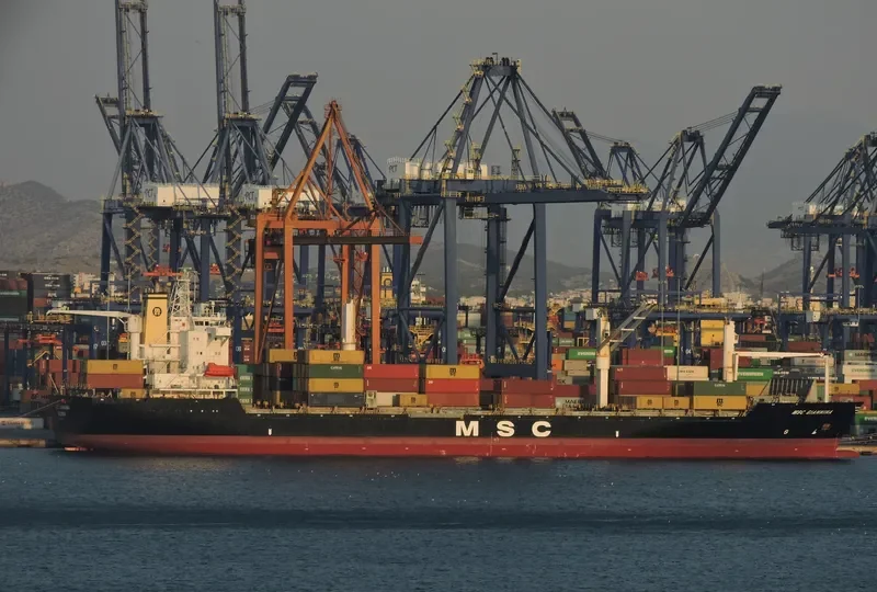 MSC GIANNINA Container Ship IMO 9141780 photo 6