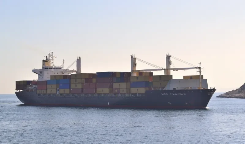 MSC GIANNINA Container Ship IMO 9141780 photo 8