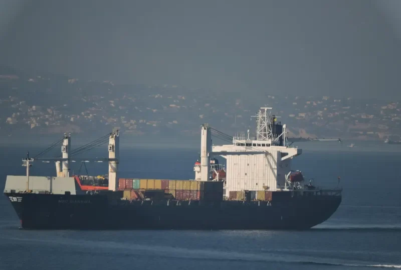 MSC GIANNINA Container Ship IMO 9141780 photo 10