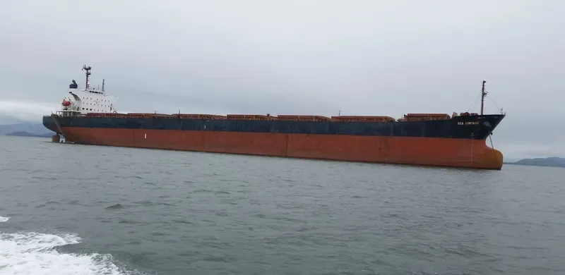 SEA FORTUNE Bulk Carrier IMO 9141974