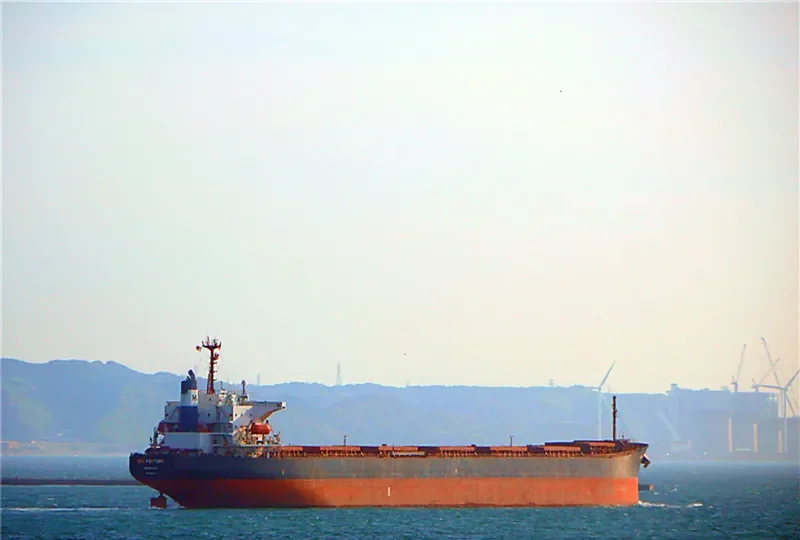 SEA FORTUNE Bulk Carrier IMO 9141974 photo 2