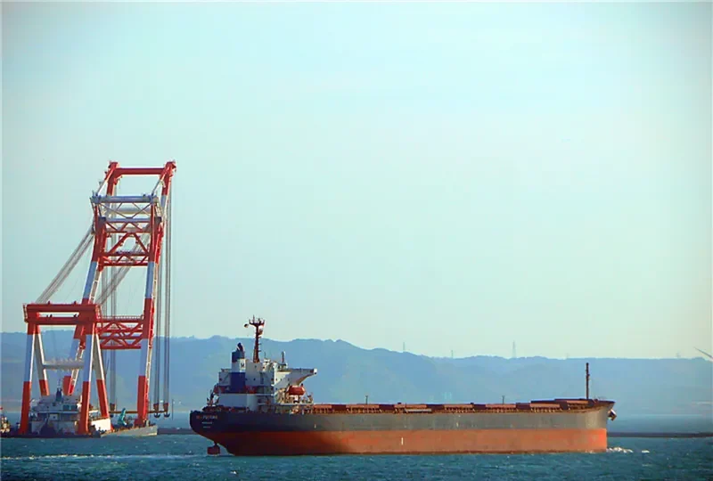 SEA FORTUNE Bulk Carrier IMO 9141974 photo 3