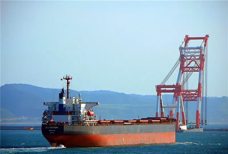 SEA FORTUNE Bulk Carrier IMO 9141974 photo 4