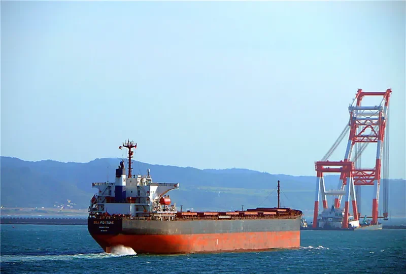 SEA FORTUNE Bulk Carrier IMO 9141974 photo 5