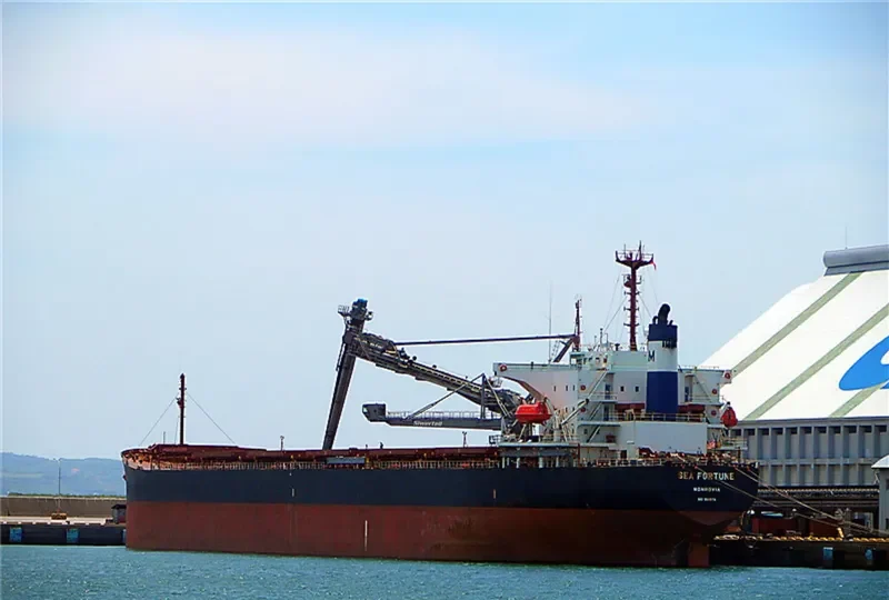 SEA FORTUNE Bulk Carrier IMO 9141974 photo 6