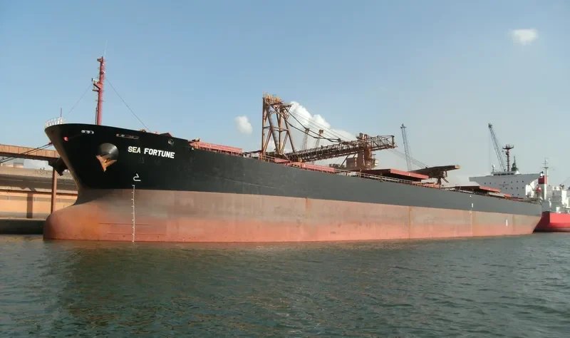 SEA FORTUNE Bulk Carrier IMO 9141974 photo 8