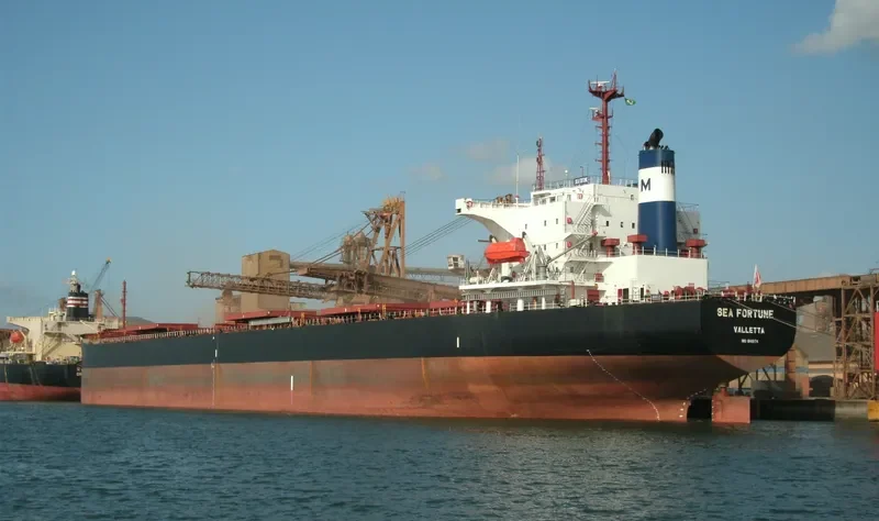 SEA FORTUNE Bulk Carrier IMO 9141974 photo 9