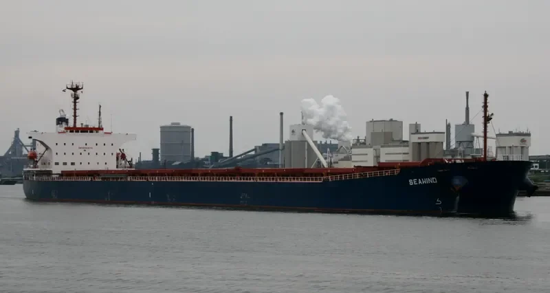 SEA FORTUNE Bulk Carrier IMO 9141974 photo 10