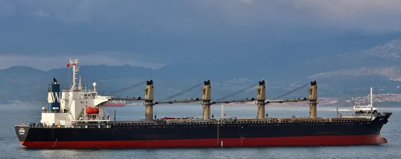 SEAPOL ENDEAVOUR Bulk Carrier IMO 9141986 photo 5