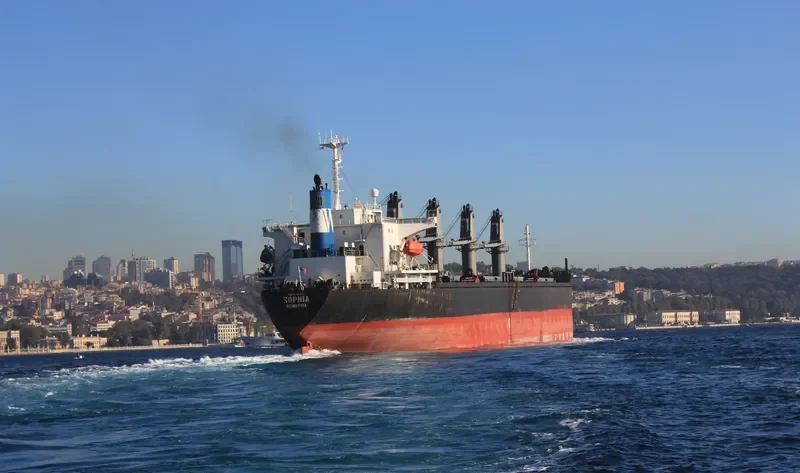 SEAPOL ENDEAVOUR Bulk Carrier IMO 9141986 photo 10