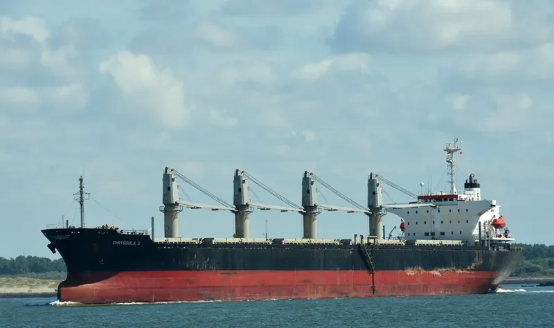 RELIANCE Bulk Carrier IMO 9141998