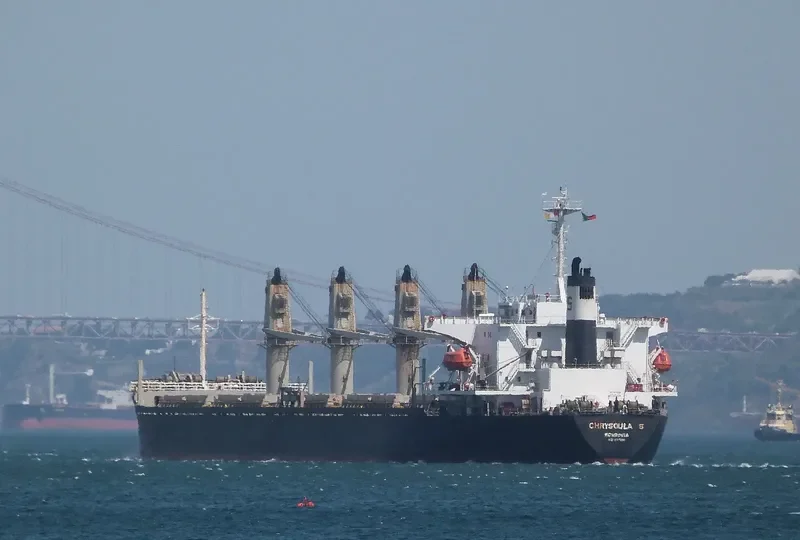 RELIANCE Bulk Carrier IMO 9141998 photo 2