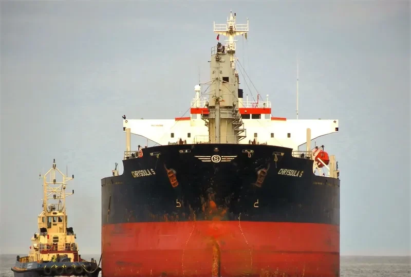 RELIANCE Bulk Carrier IMO 9141998 photo 6