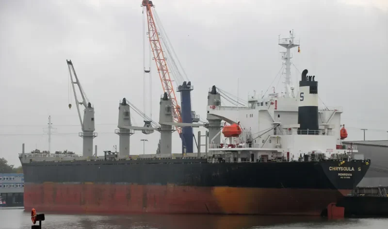 RELIANCE Bulk Carrier IMO 9141998 photo 9
