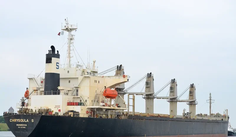 RELIANCE Bulk Carrier IMO 9141998 photo 10