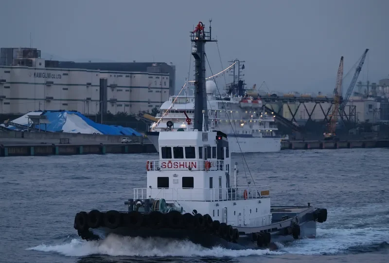 SOSHUN MARU General Cargo IMO 9142071 photo 2
