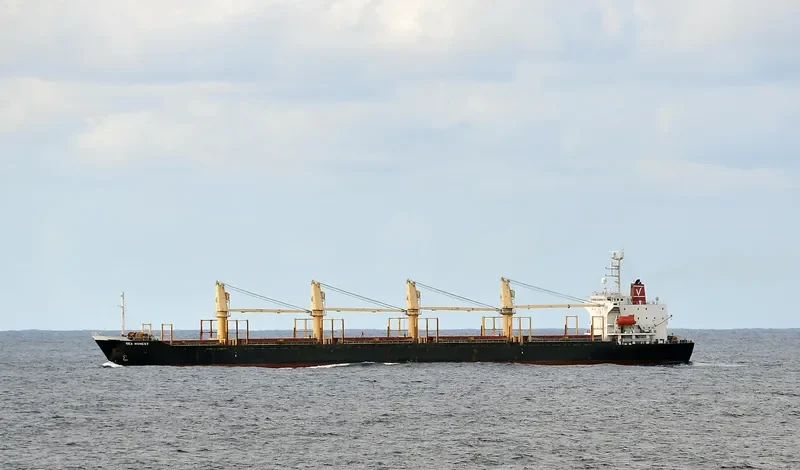 FORZA Bulk Carrier IMO 9142100