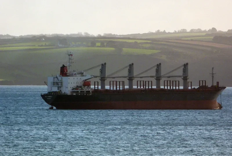 FORZA Bulk Carrier IMO 9142100 photo 2