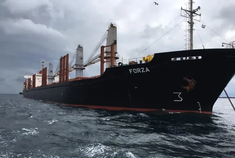 FORZA Bulk Carrier IMO 9142100 photo 3