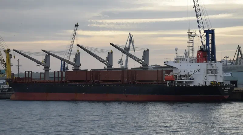 FORZA Bulk Carrier IMO 9142100 photo 5