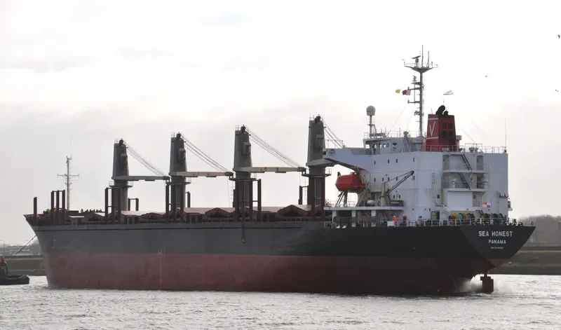 FORZA Bulk Carrier IMO 9142100 photo 7