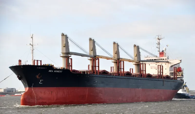 FORZA Bulk Carrier IMO 9142100 photo 8